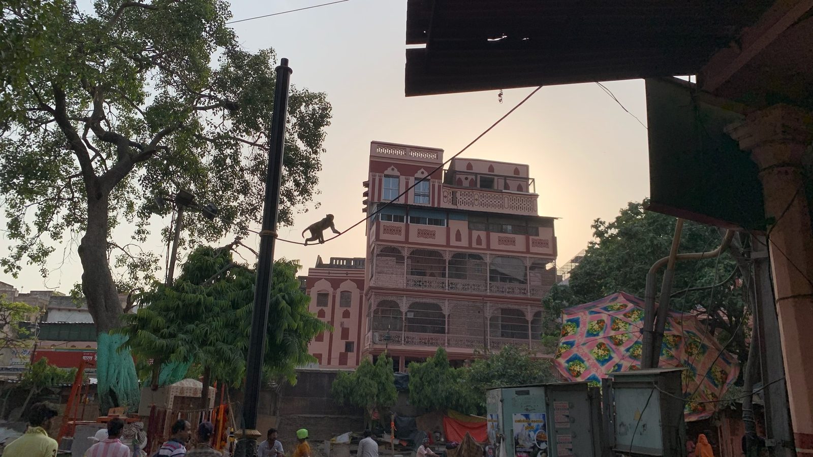 INDIA // IMG_07