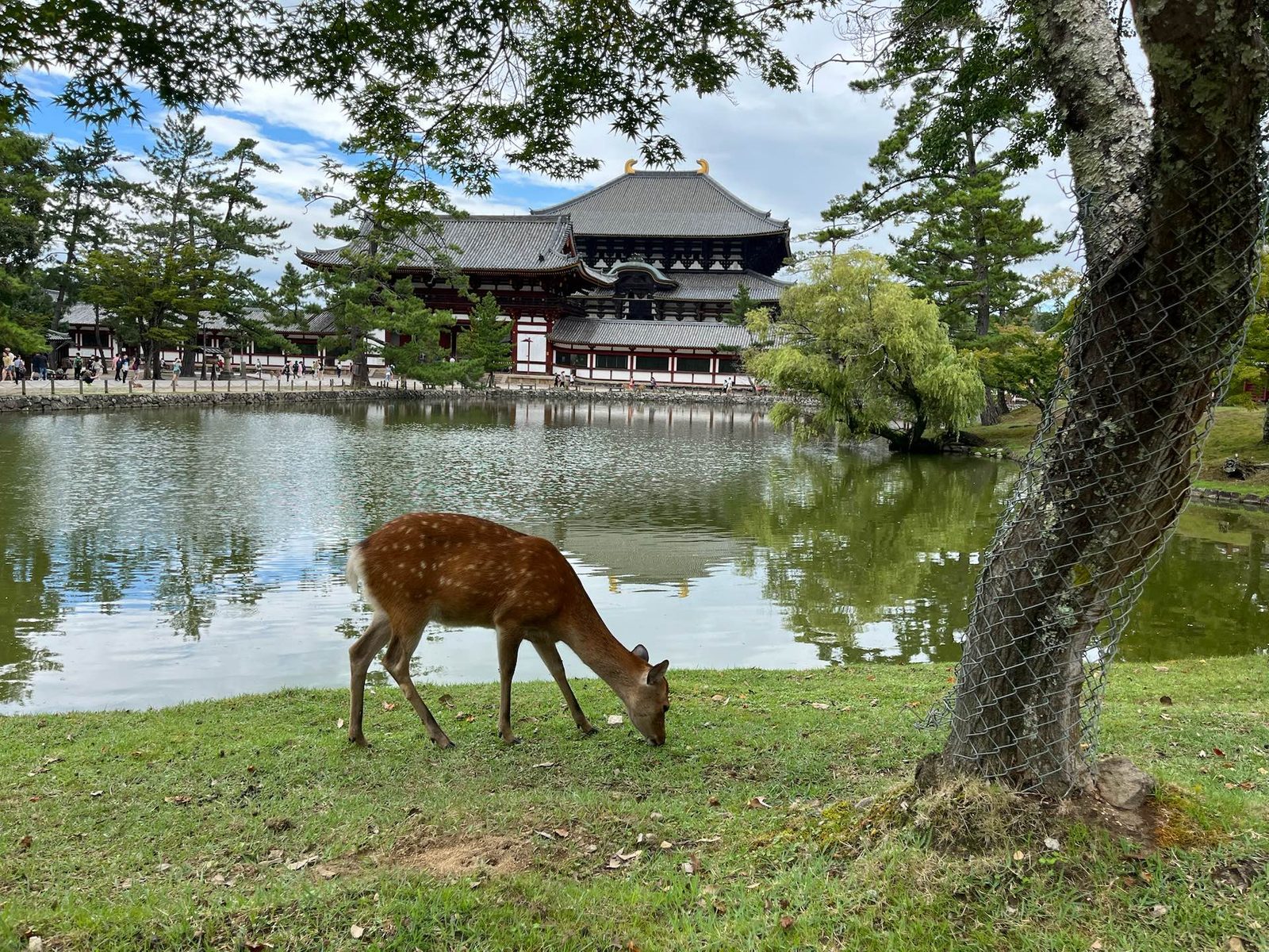 JAPAN // IMG_05