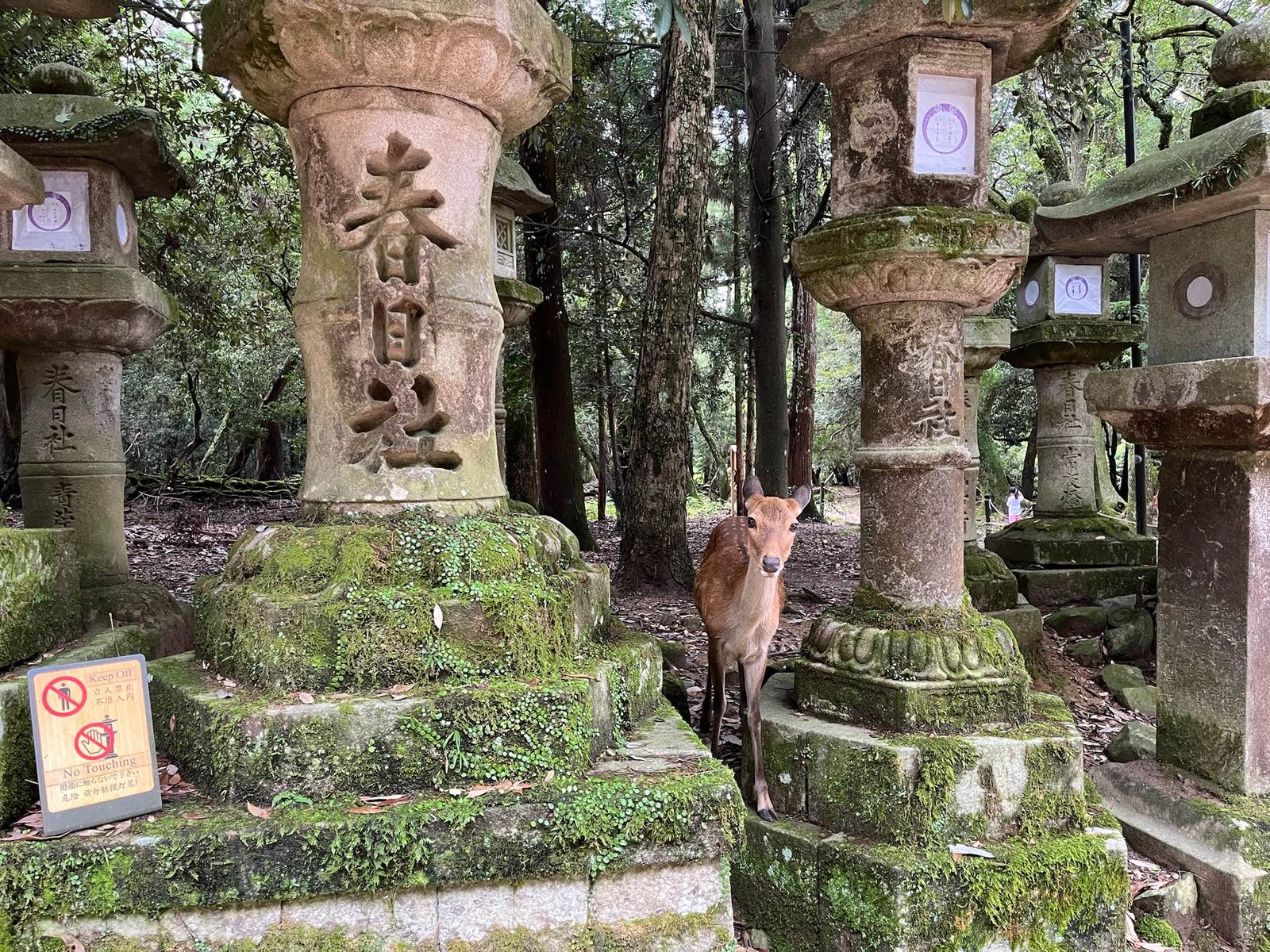 JAPAN // IMG_22